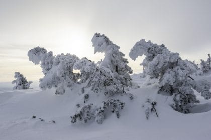 Correction de + 1 IL