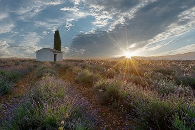 Le cabanon de Valensole