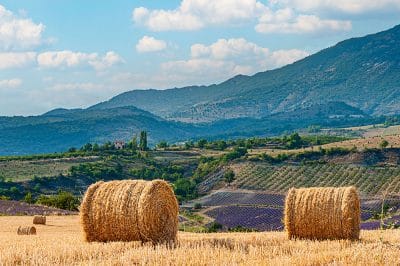 Stage photo en Baronnies provençales
