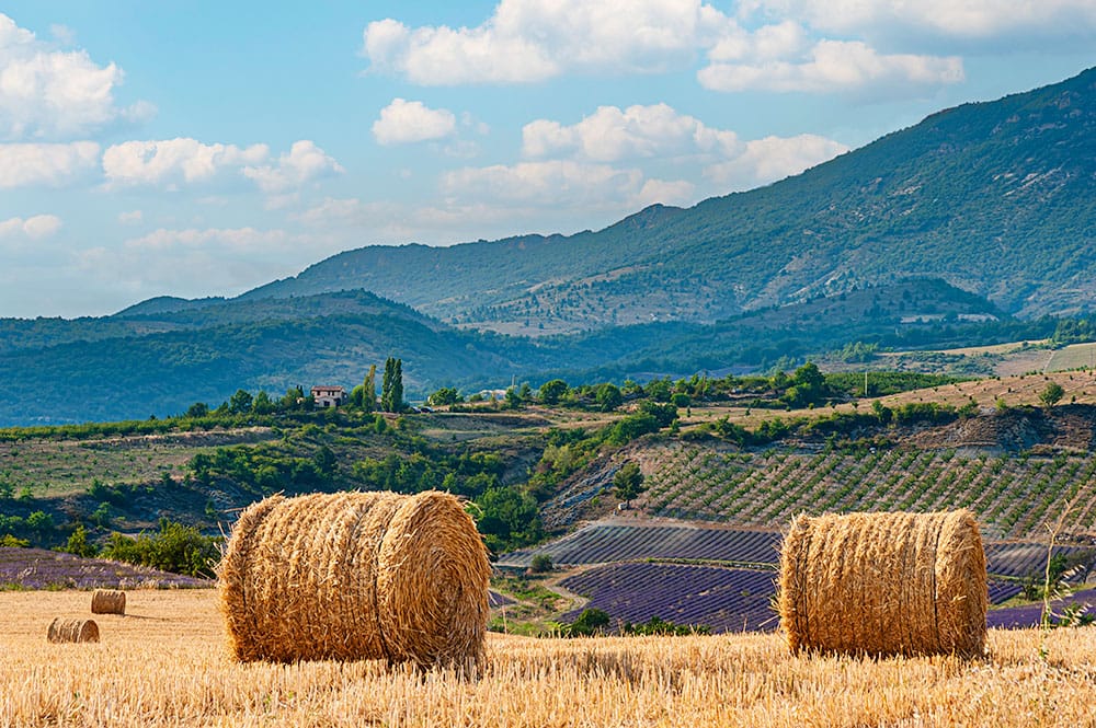 Bottes de pailles dans la vallée de Sainte Jalle
