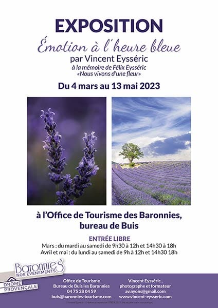 Affiche : Émotion à l'heure bleue - Vincent Eysséric