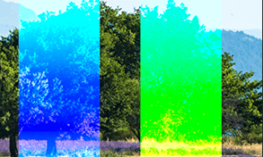 Densité linéaire - (ajout)