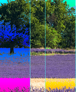 Différence : couleur plus foncée