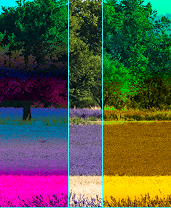 Différence : Obscurcir