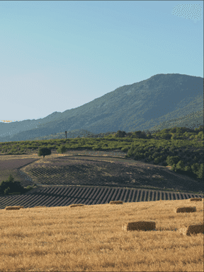 Densité linéaire -