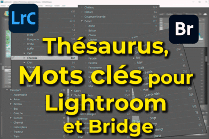 Thésaurus, liste de mots clés pour Lightroom et Bridge