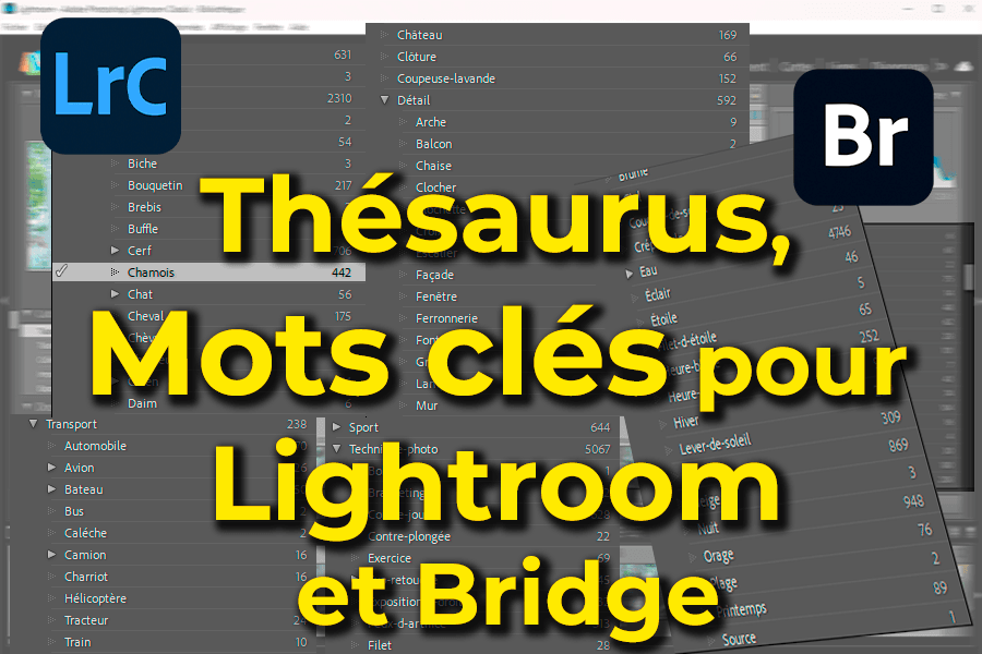 Thésaurus, liste de mots clés pour Lightroom et Bridge