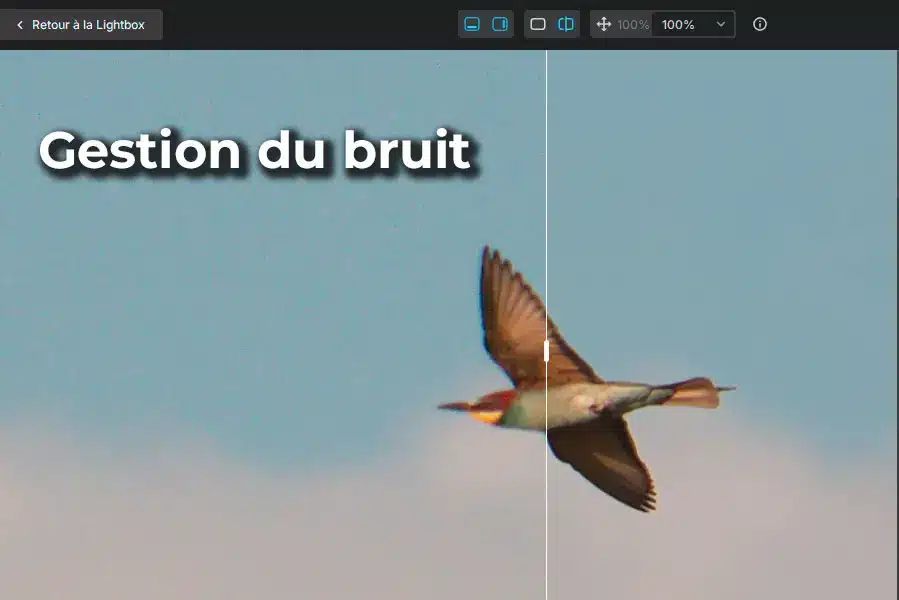 Gestion du bruit ISO avec DxO PureRAW