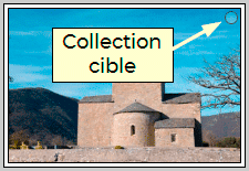 Badge : Collection cible ou rapide sur vignette