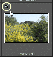 Photo sélectionnée dans Importer de Lightroom Classic