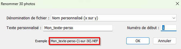 Nommage du nom personnalisé x sur y dans l'éditeur de modèles de nom de fichier de Lightroom Classic