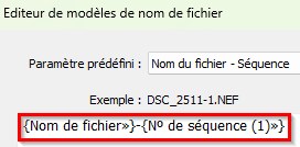Décor de l'éditeur de modèles séquence dans Lightroom Classic