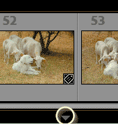 Flèche de masquage du Film fixe dans Lightroom Classic