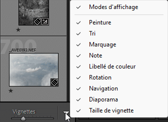 Choix des attributs dans Lightroom Classic
