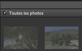 Coché toutes les photos Lightroom Classic
