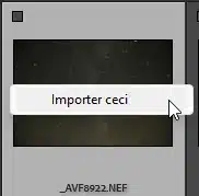 Importer ceci dans Lightroom Classic