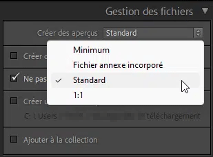 Créer des aperçus dans Lightroom Classic