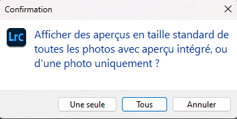 Afficher aperçu standard à partir d'aperçu intégré dans Lightroom Classic