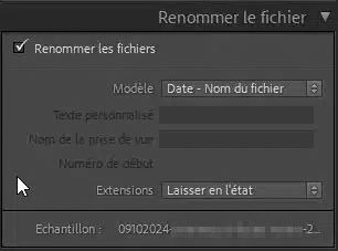 Renommer le fichier lors de l'importation dans Lightroom Classic