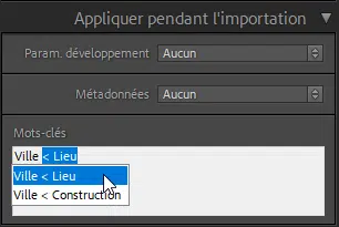 Appliquer des mots-clés pendant l'importation de photos dans Lightroom Classic