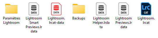 Liste des dossiers contenus dans le dossier du Catalogue de Lightroom Classic