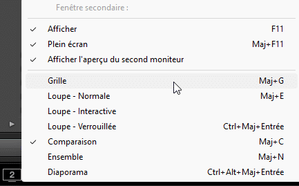 Options de la fenêtre secondaire de Lightroom Classic