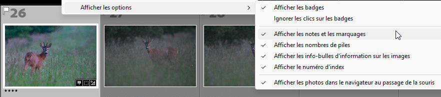 Clic droit dans le Film fixe de Lightroom Classic