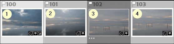 Le film fixe de Lightroom Classic