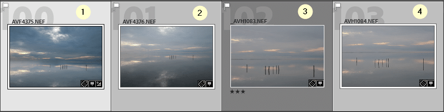 Des photos affichées en mode Grille dans Lightroom Classic