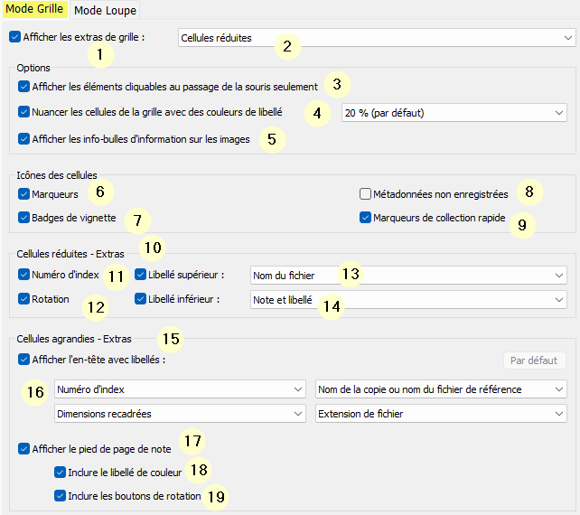 Fenêtre Options d'affichage de Lightroom Classic