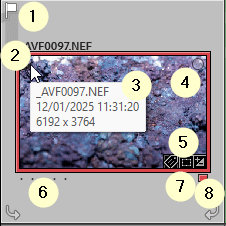 Guide Lightroom Classic