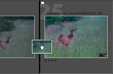 Réorganiser l'ordre des photos dans Lightroom Classic