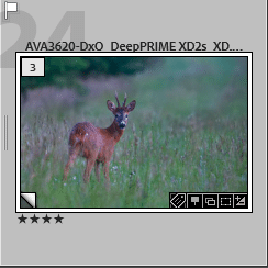 Les différents badges dans Lightroom Classic