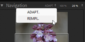 Panneau Navigation et Loupe de Lightroom Classic