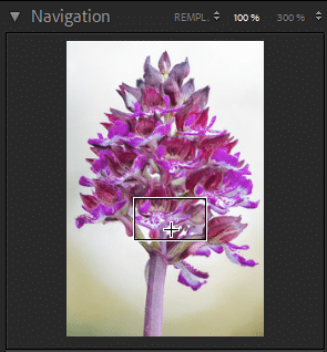 Déplacement dans la fenêtre de Navigation de Lightroom Classic