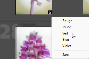 Libellé de couleurs dans Lightroom Classic