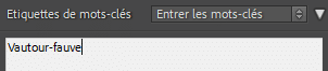 Ajout de mots clés dans Lightroom Classic