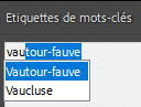 Suggestion de mots clés dans Lightroom Classic