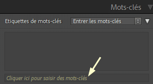 Cliquer ici pour saisir des mots clés dans Lightroom Classic
