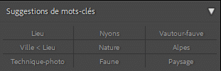 Suggestion de mots clés 9 propositions dans Lightroom Classic