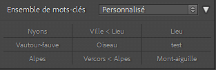 Exemple de mots clés dans Lightroom Classic