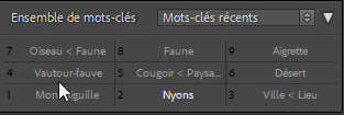 Exemple de mots clés dans Lightroom Classic avec la touche Alt/Option