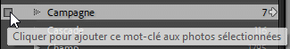 Case à cocher d'un mot clé dans Lightroom Classic