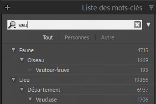 Rechercher un mot clé dans Lightroom Classic