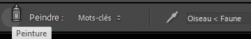 Outil peinture mot clé dans Lightroom Classic