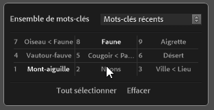 Ensemble de mots clés dans Lightroom Classic