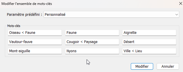 Lot de 9 mots clés dans Lightroom Classic