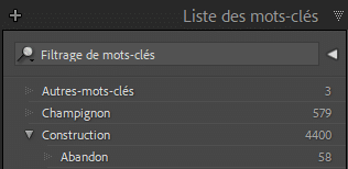 Liste de mots-clés dans Lightroom Classic
