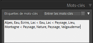 Zone de mots clés dans Lightroom Classic