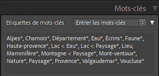 Mot clé avec étoiles dans Lightroom Classic